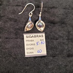 Sidabriniai auskarai