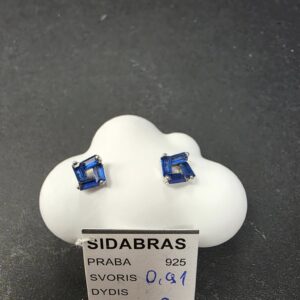 Sidabriniai auskarai