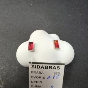 Sidabriniai auskarai