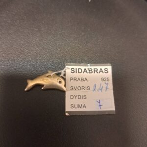 Sidabrinis pakabukas