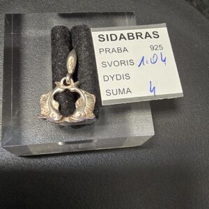 Sidabrinis pakabukas