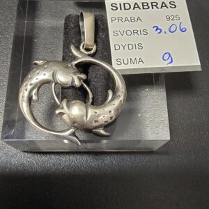 Sidabrinis pakabukas