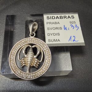 Sidabrinis pakabukas