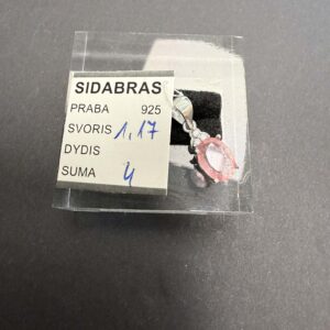 Sidabrinis pakabukas