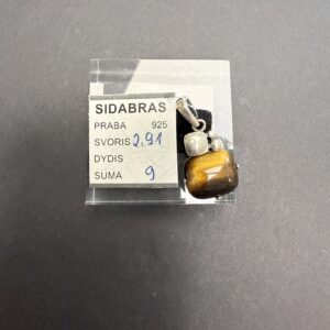 Sidabrinis pakabukas