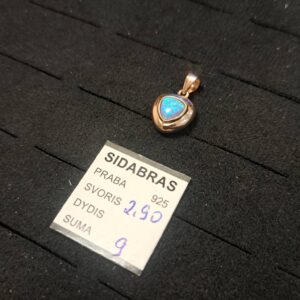 Sidabrinis pakabukas