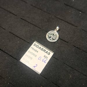 Sidabrinis pakabukas