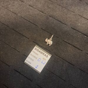 Sidabrinis pakabukas