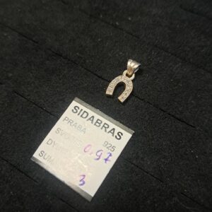 Sidabrinis pakabukas