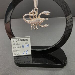 Sidabrinis pakabukas