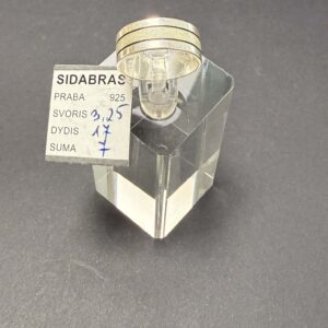 Sidabrinis žiedas