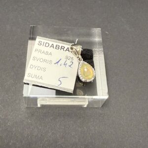 Sidabrinis pakabukas