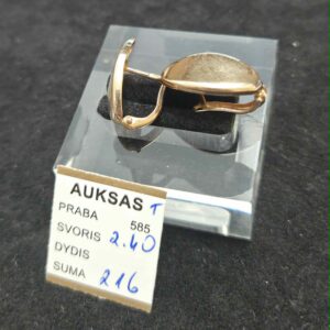 Auksiniai auskarai