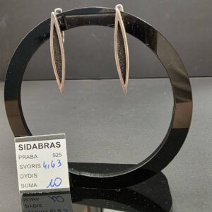 Sidabriniai auskarai