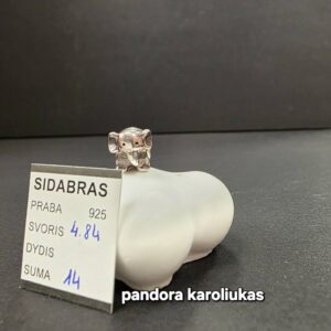 Pandora karoliukas