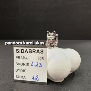 Pandora karoliukas
