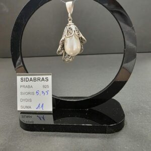 Sidabrinis pakabukas