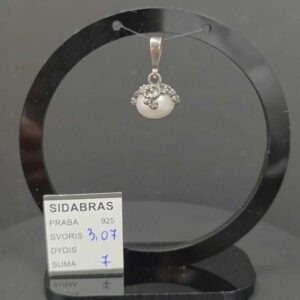 Sidabrinis pakabukas